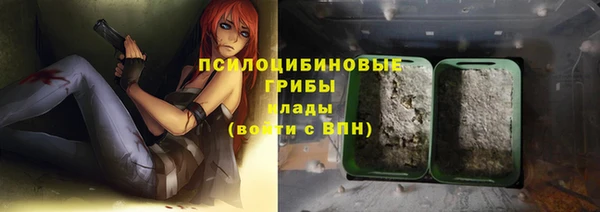 apvp Арсеньев