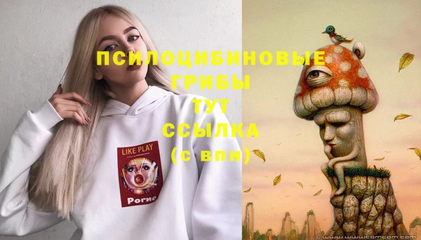 apvp Арсеньев
