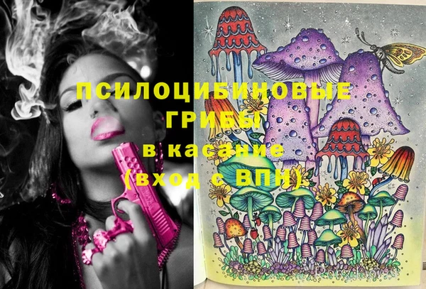 каннабис Аркадак