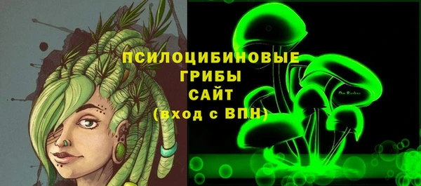 apvp Арсеньев