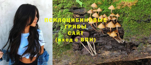 ешки Армянск